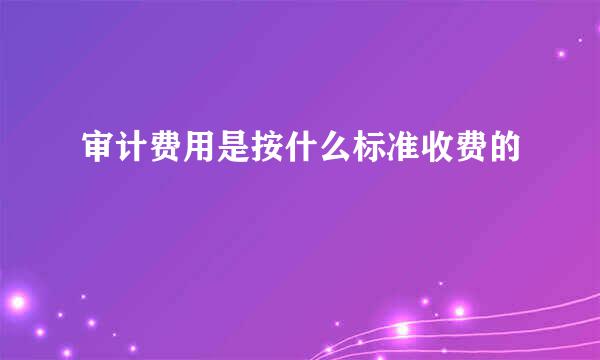 审计费用是按什么标准收费的