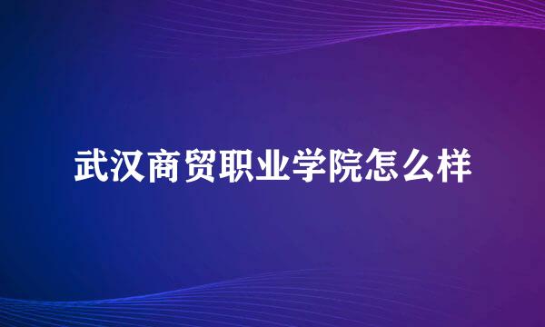 武汉商贸职业学院怎么样