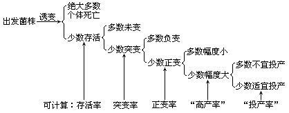 诱变育种的关键步骤是什么,为什么