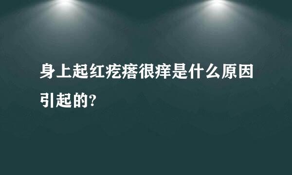 身上起红疙瘩很痒是什么原因引起的?