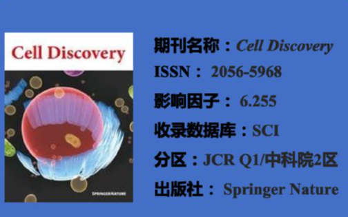 scientific reports影响因子是什么？