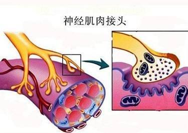 胆碱酯酶高是怎么回事