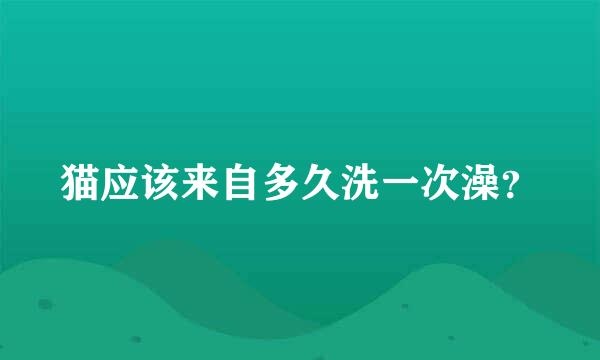 猫应该来自多久洗一次澡？