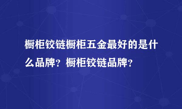 橱柜铰链橱柜五金最好的是什么品牌？橱柜铰链品牌？