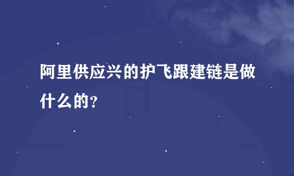 阿里供应兴的护飞跟建链是做什么的？