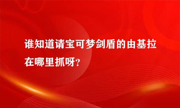 谁知道请宝可梦剑盾的由基拉在哪里抓呀？