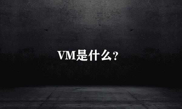 VM是什么？