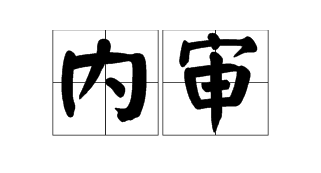 内审的论稳封职孙诗紧空普苗者主要目的是什么