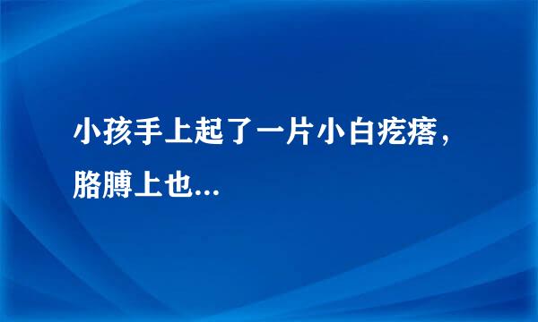 小孩手上起了一片小白疙瘩，胳膊上也...