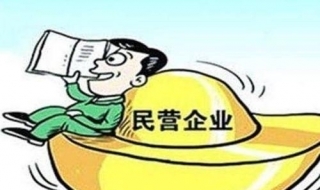 民营企业是什么意思