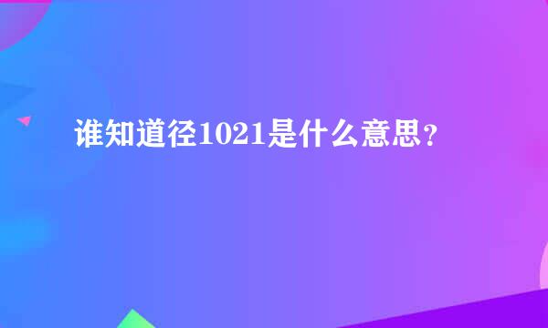 谁知道径1021是什么意思？