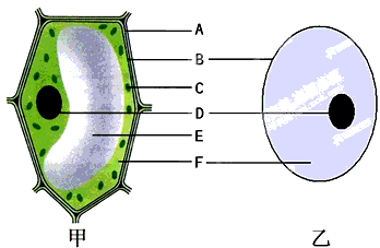 除病毒外组成生物体的基本单位是