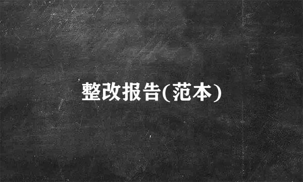 整改报告(范本)