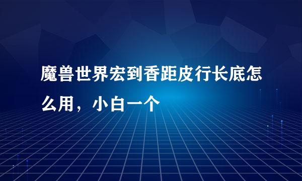 魔兽世界宏到香距皮行长底怎么用，小白一个