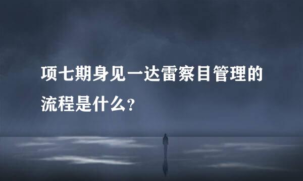 项七期身见一达雷察目管理的流程是什么？