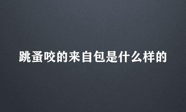 跳蚤咬的来自包是什么样的