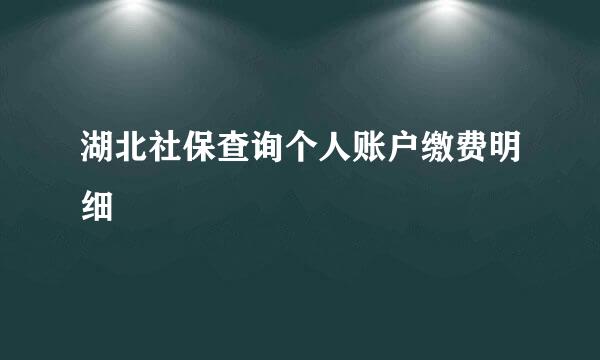 湖北社保查询个人账户缴费明细