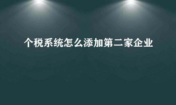 个税系统怎么添加第二家企业