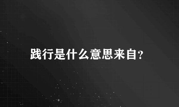 践行是什么意思来自？