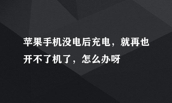 苹果手机没电后充电，就再也开不了机了，怎么办呀