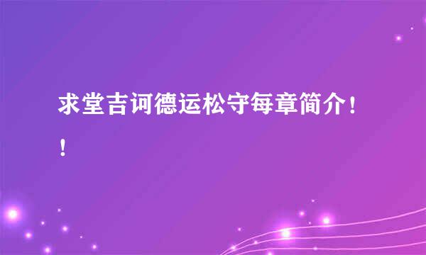 求堂吉诃德运松守每章简介！！