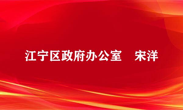 江宁区政府办公室 宋洋