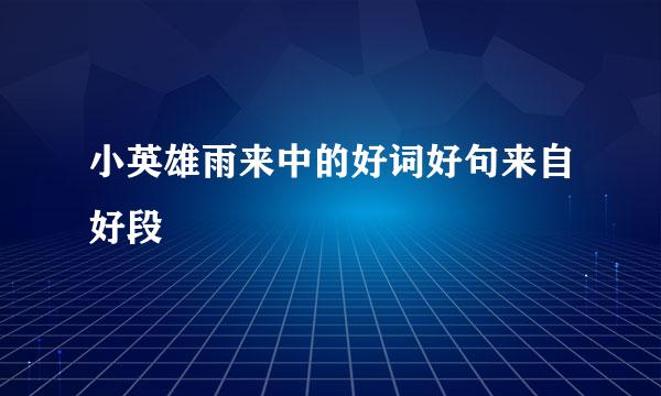 小英雄雨来中的好词好句来自好段