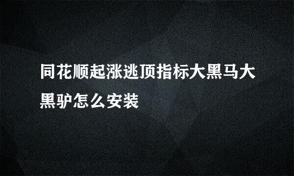 同花顺起涨逃顶指标大黑马大黑驴怎么安装