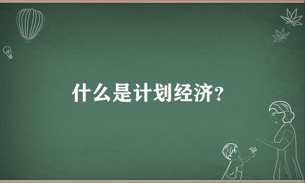 什么是计划经济？