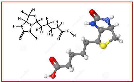 维生素H作用是什么？
