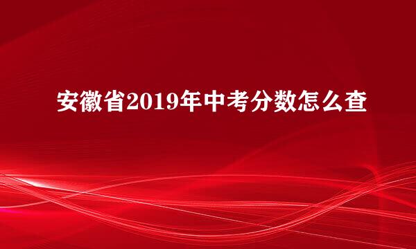 安徽省2019年中考分数怎么查