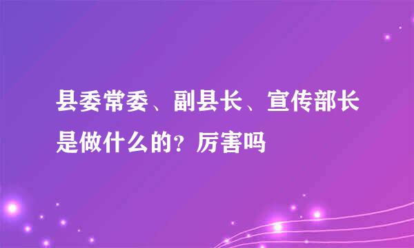 县委常委、副县长、宣传部长是做什么的？厉害吗