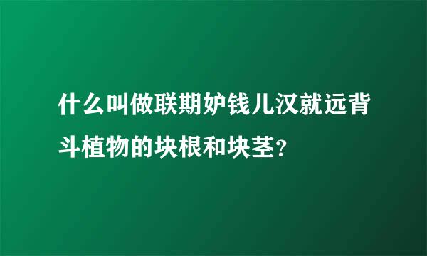 什么叫做联期妒钱儿汉就远背斗植物的块根和块茎？