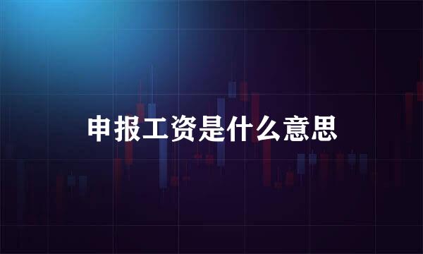 申报工资是什么意思