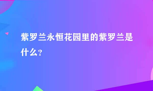 紫罗兰永恒花园里的紫罗兰是什么？