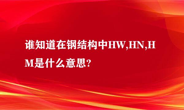 谁知道在钢结构中HW,HN,HM是什么意思?