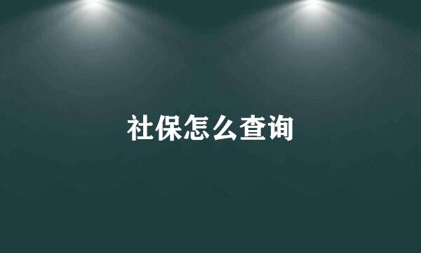 社保怎么查询