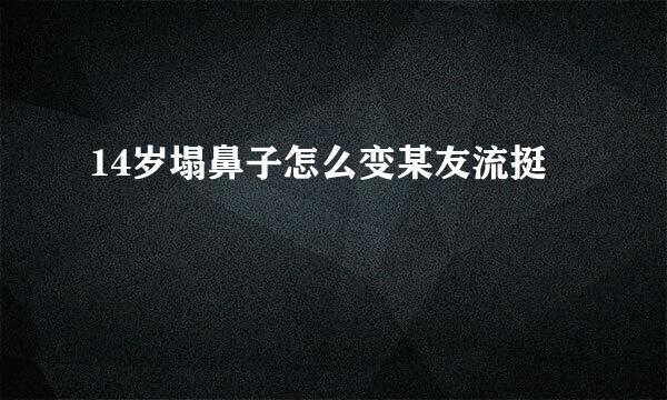 14岁塌鼻子怎么变某友流挺