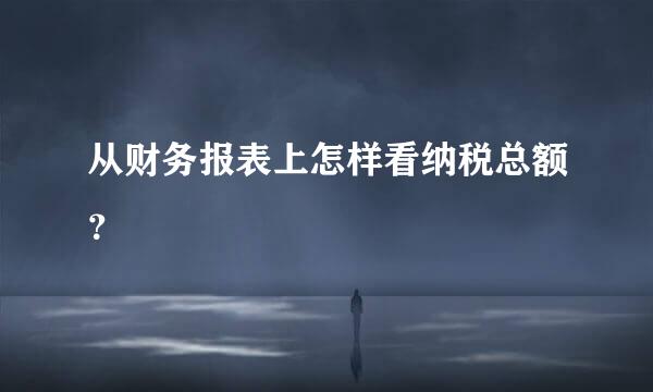 从财务报表上怎样看纳税总额？