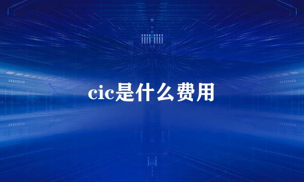 cic是什么费用