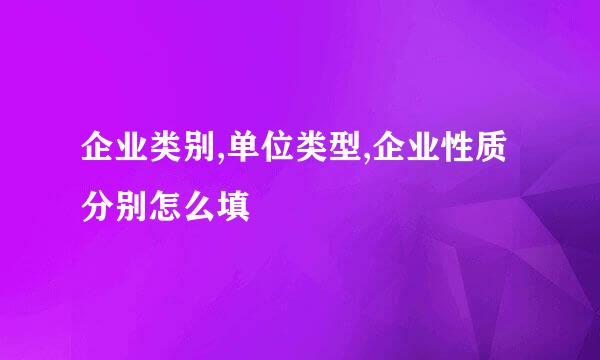 企业类别,单位类型,企业性质分别怎么填