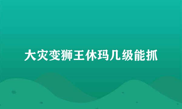 大灾变狮王休玛几级能抓