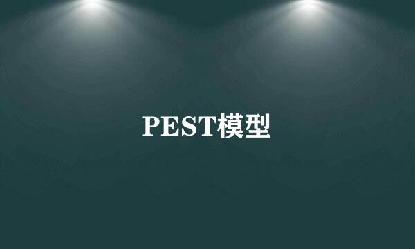 PEST模型