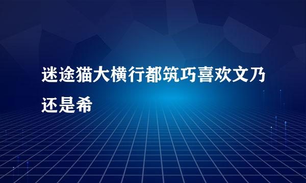 迷途猫大横行都筑巧喜欢文乃还是希