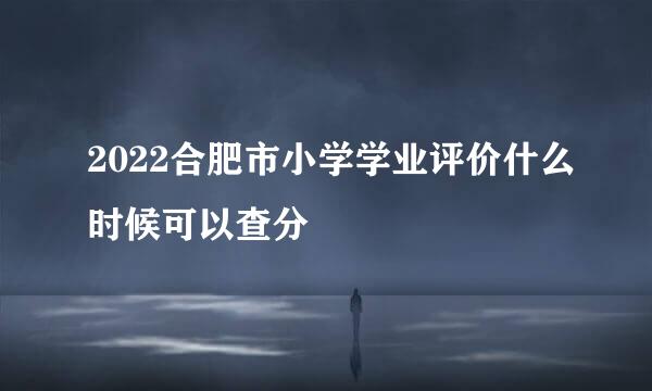 2022合肥市小学学业评价什么时候可以查分