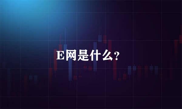 E网是什么？