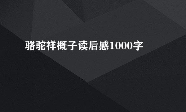 骆驼祥概子读后感1000字