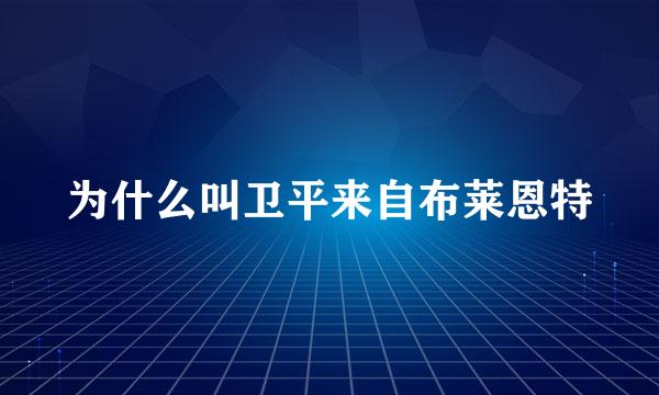 为什么叫卫平来自布莱恩特