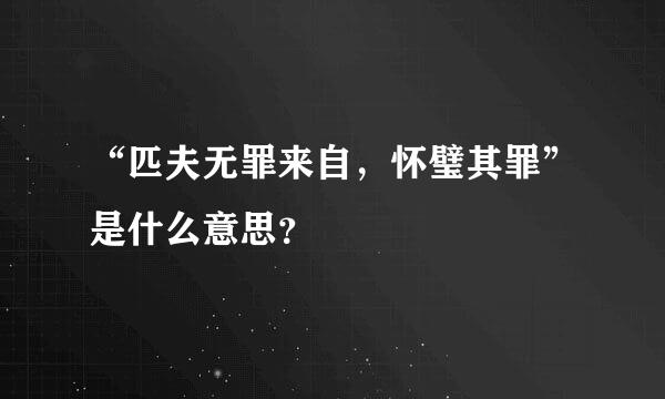 “匹夫无罪来自，怀璧其罪”是什么意思？