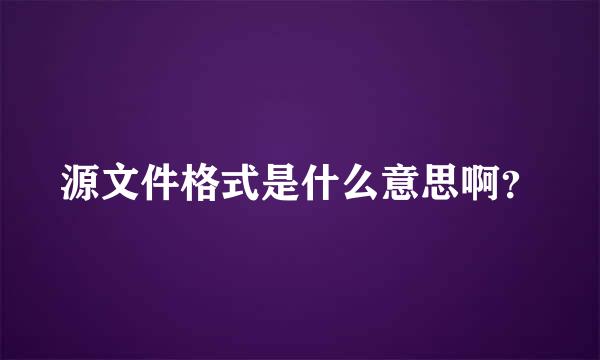 源文件格式是什么意思啊？